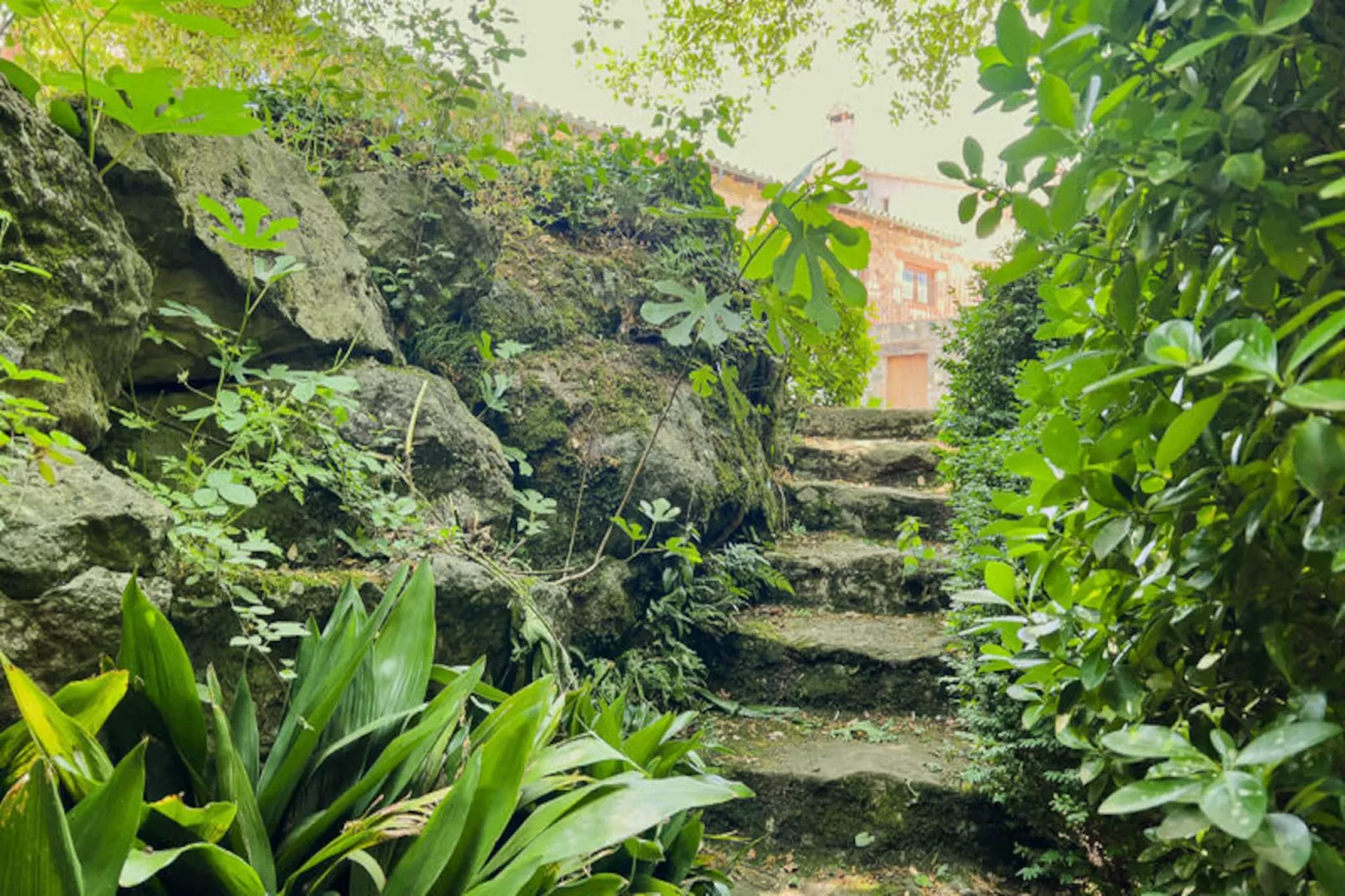 Appartements à Sant Feliu de Pallerols-Niet-getagd