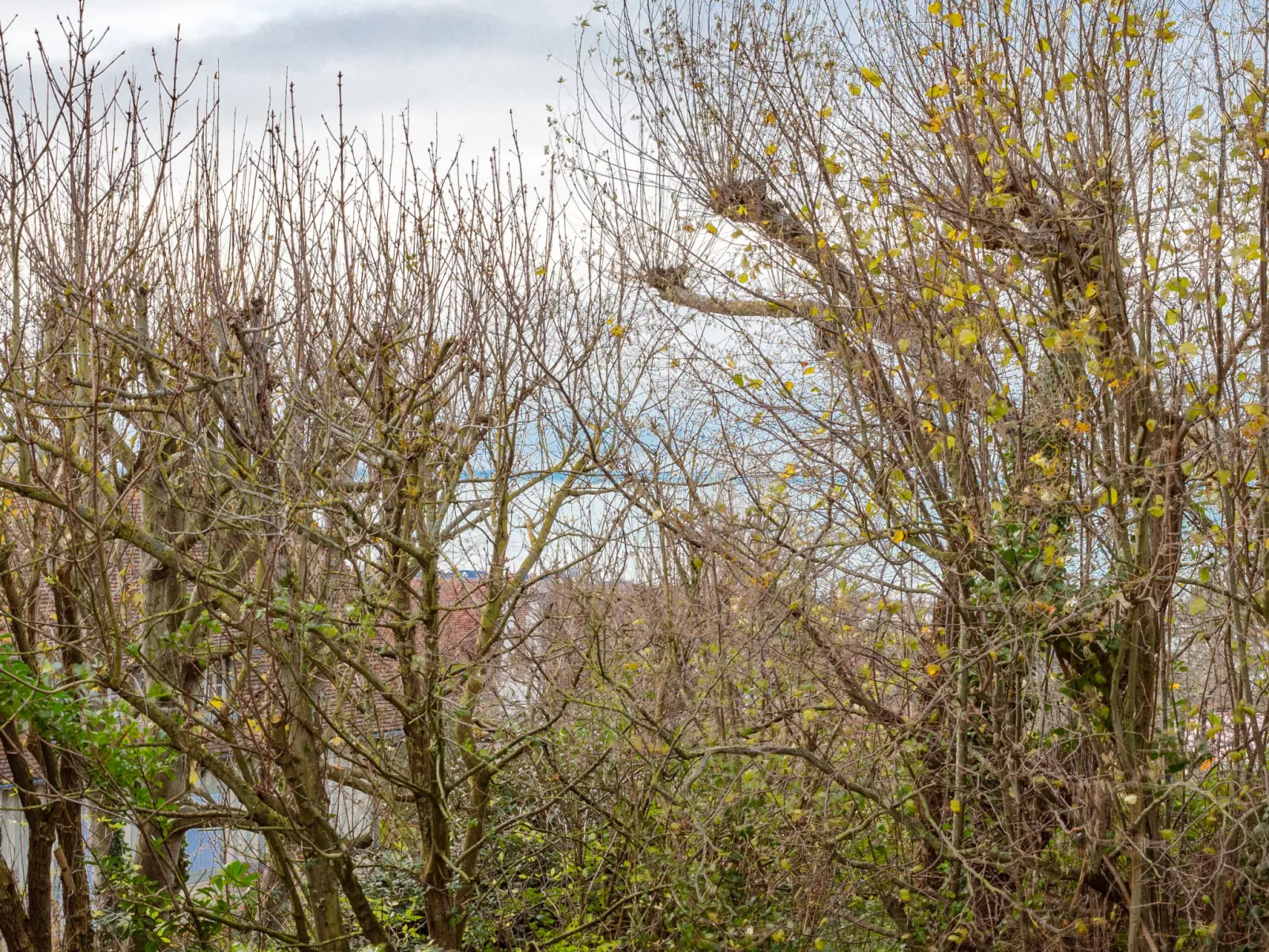 Le Parc de La Jacotte-Buiten