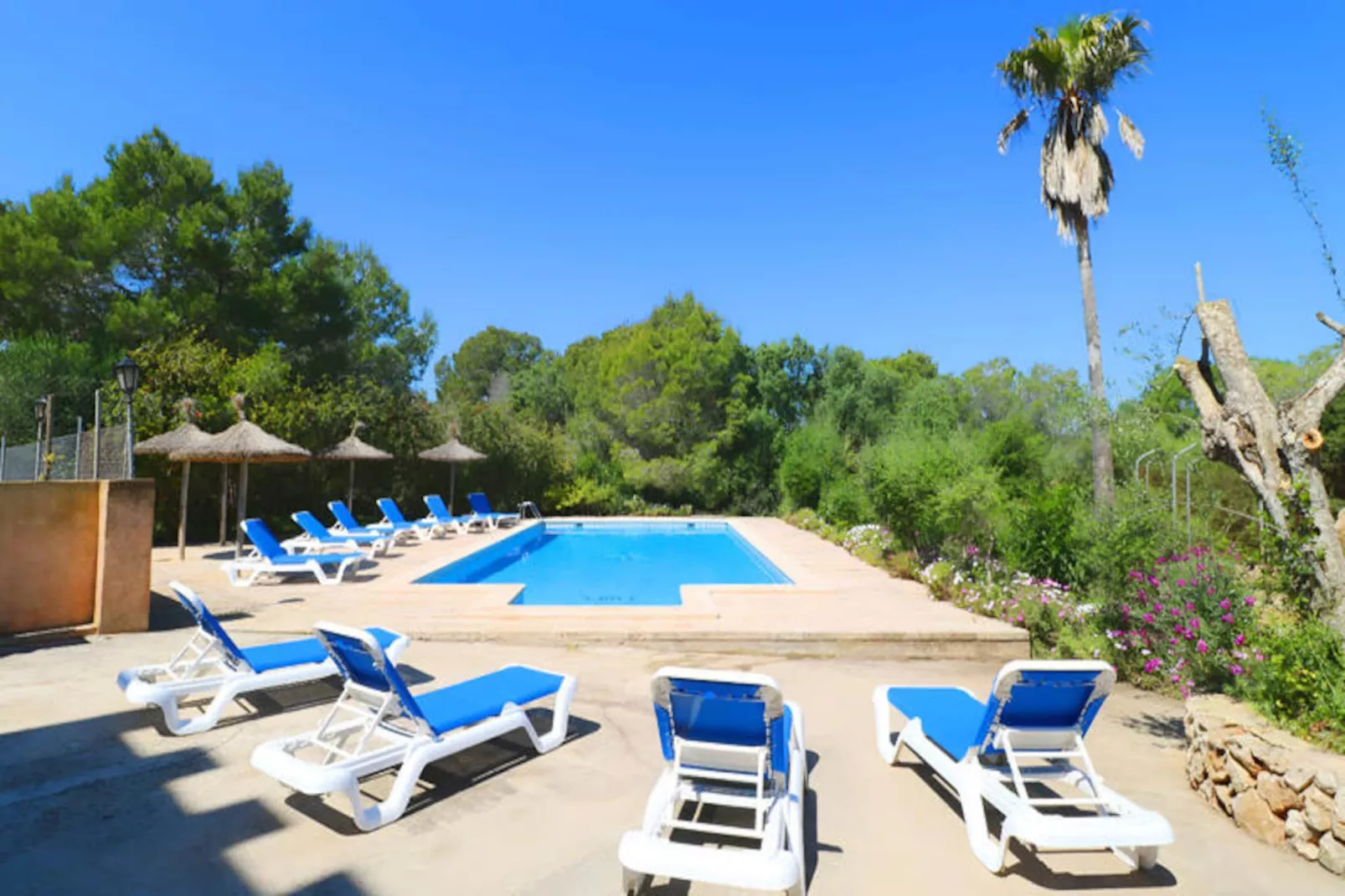 Maison à Campos-Niet-getagd