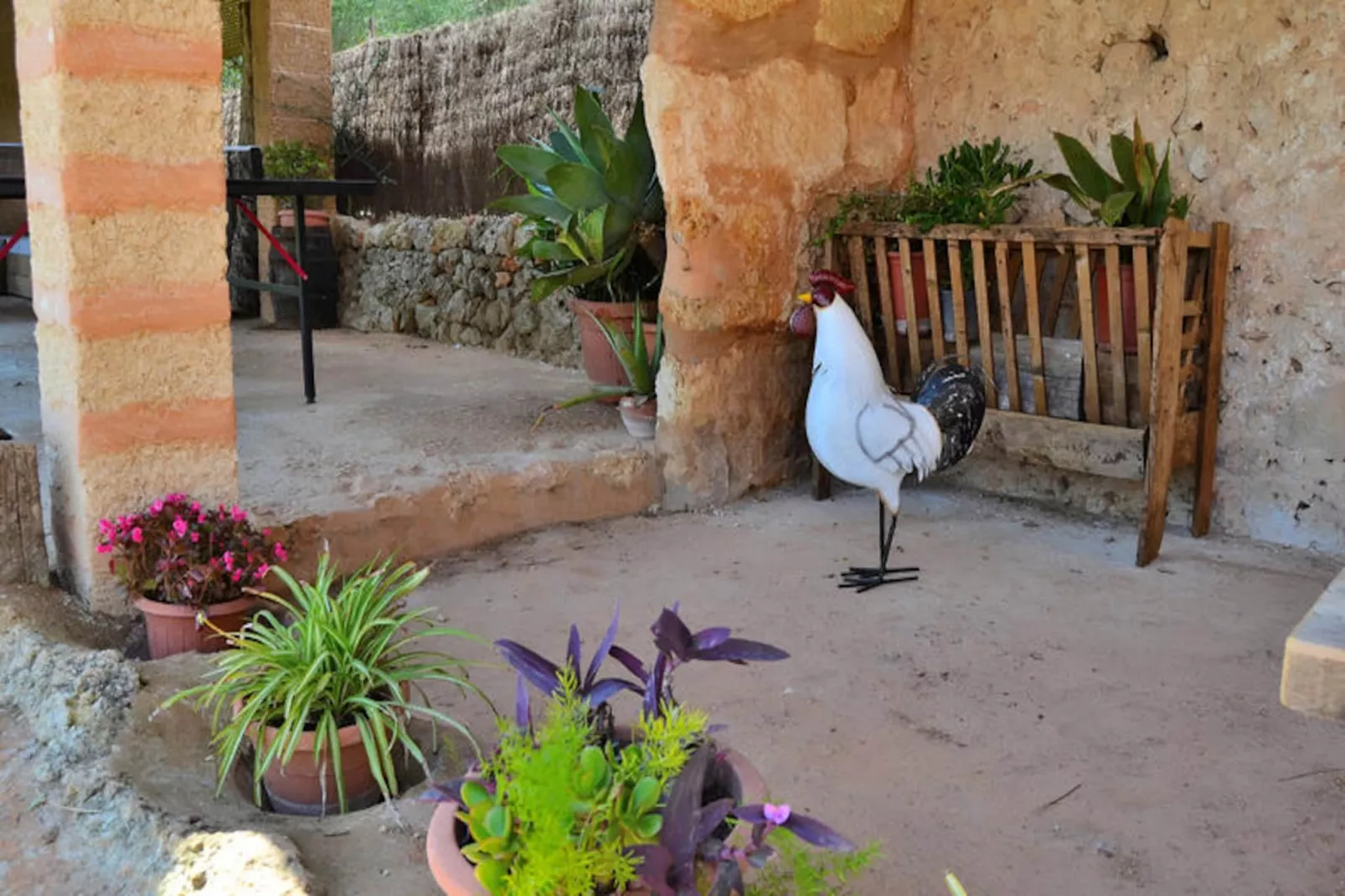 Mobil Home - Bungalow - Cottage à Llubí-Niet-getagd