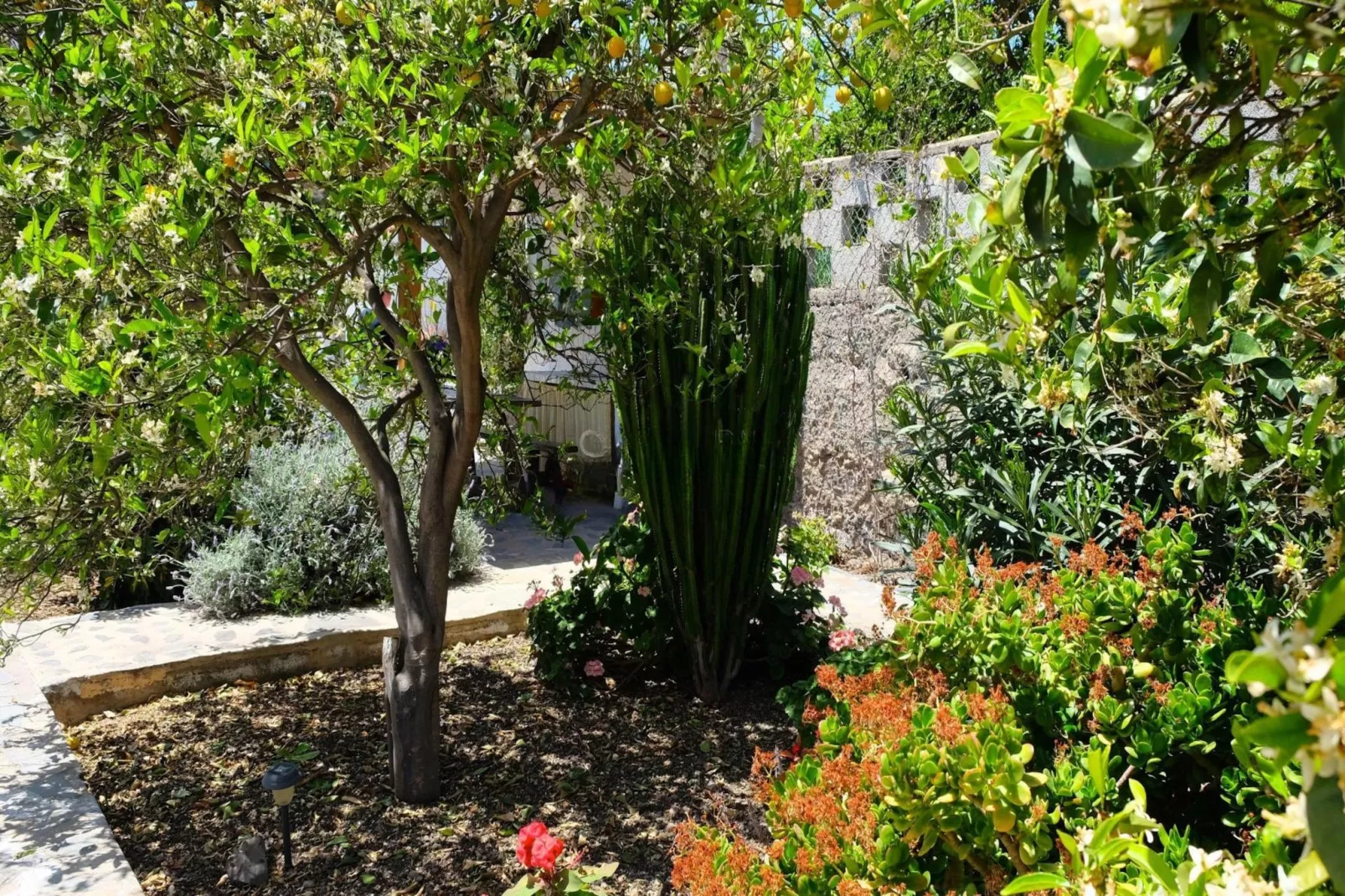 Casa Rural Sofia-Tuinen zomer