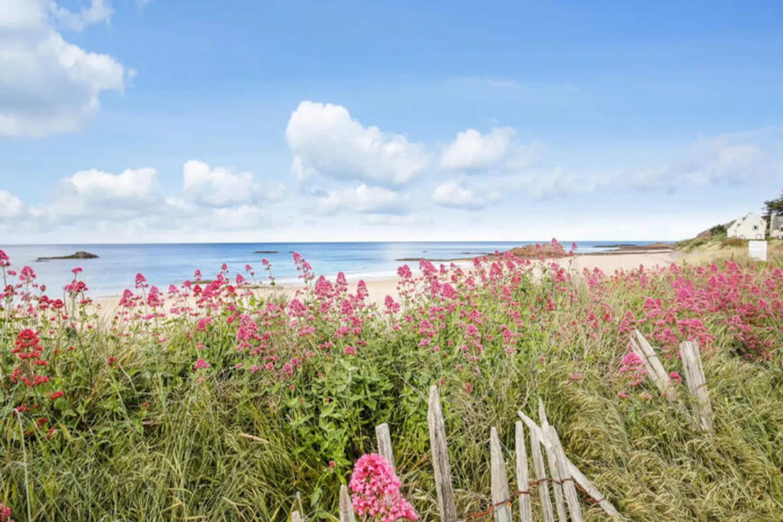 Maison à Erquy-Niet-getagd