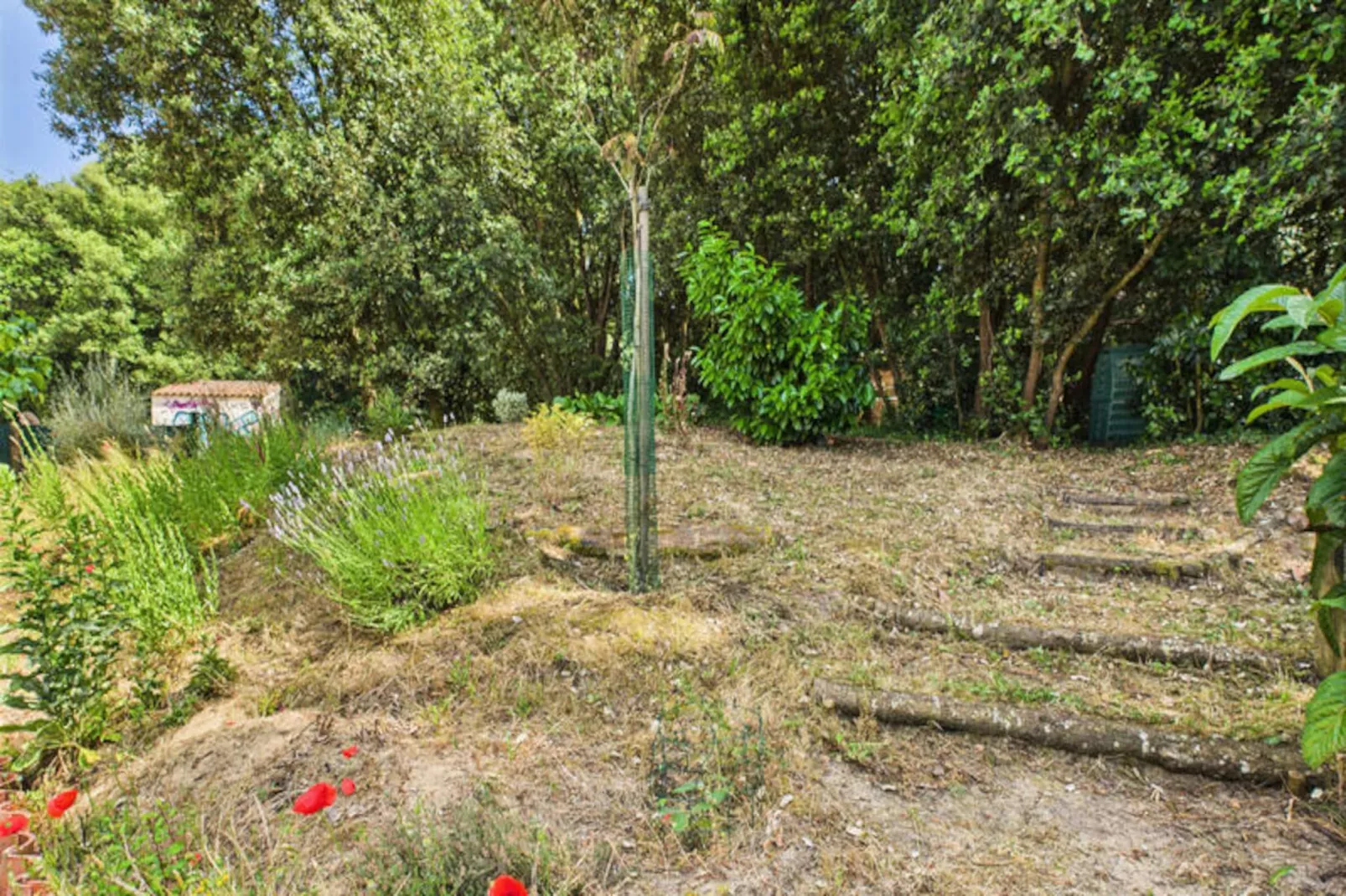 Maison à Longeville-sur-Mer-Niet-getagd