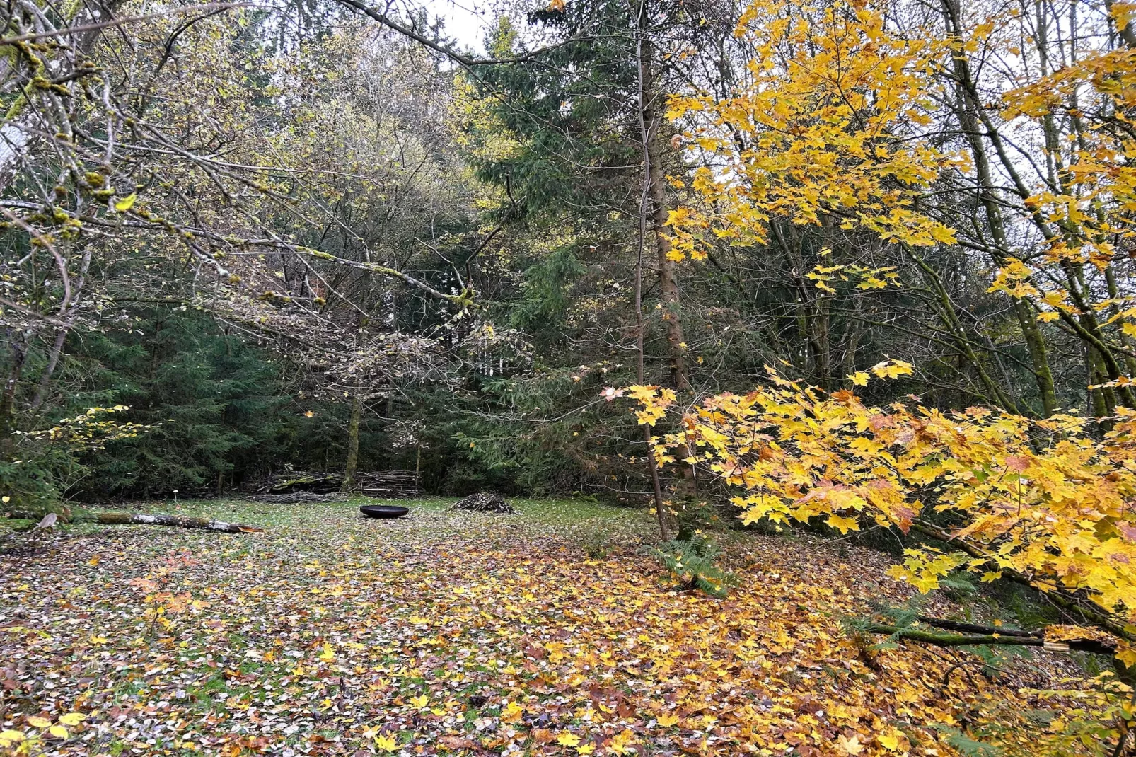 Skjoldenhof-Tuinen zomer