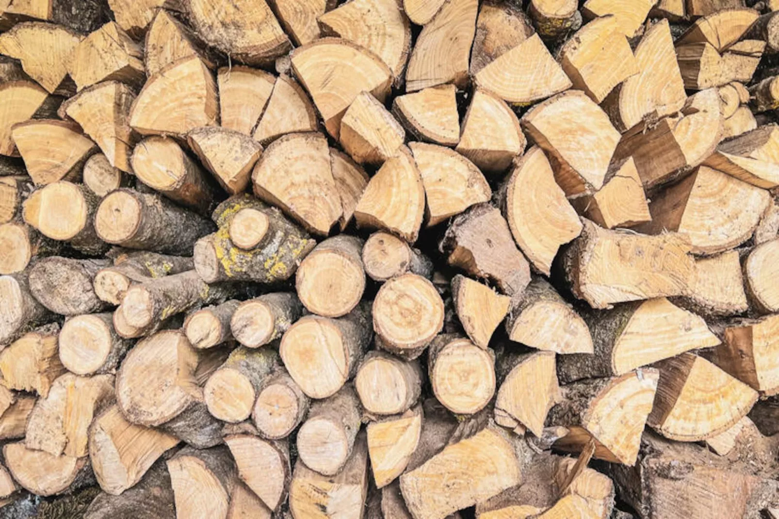 Appartements à Montagut i Oix-Niet-getagd