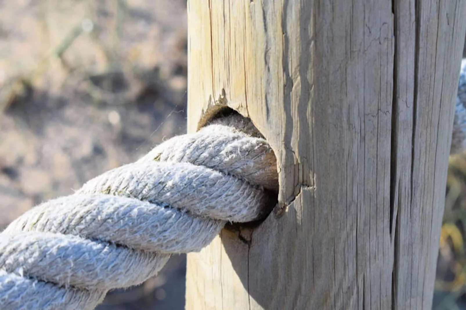 Maison à Llubí-Niet-getagd