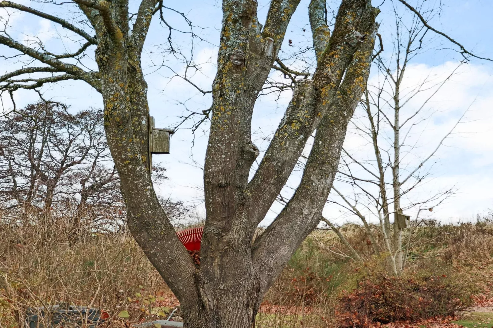 5 sterren vakantie huis in FALKENBERG-Niet-getagd