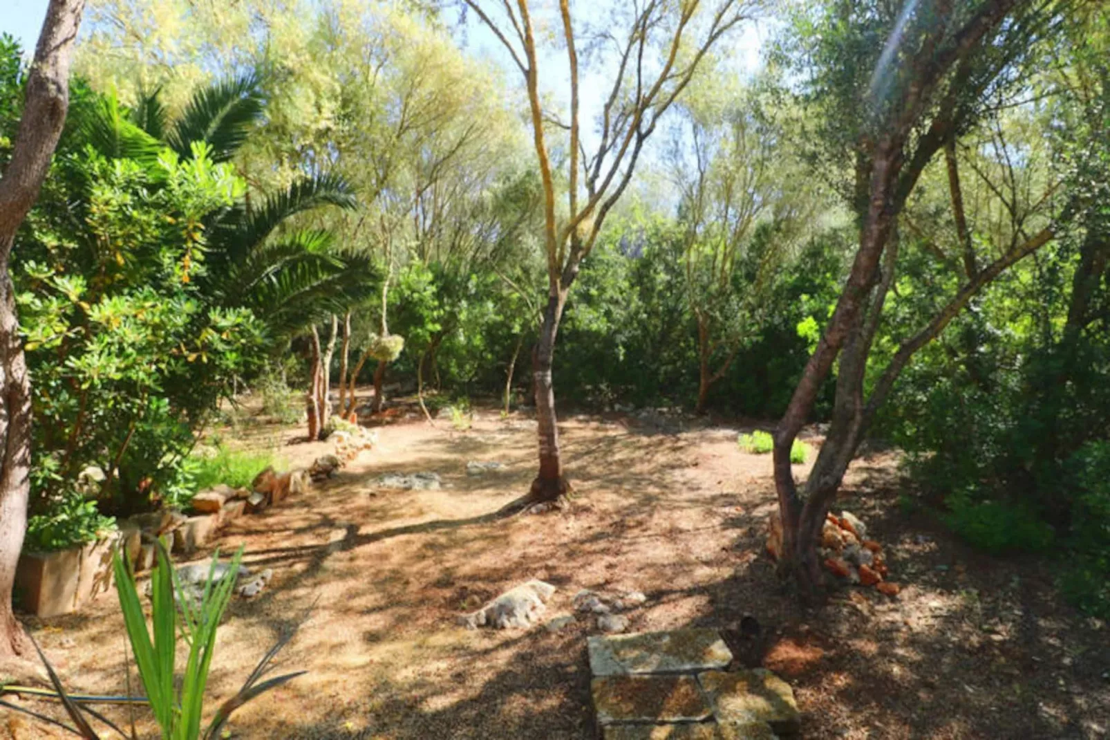 Maison à Campos-Niet-getagd