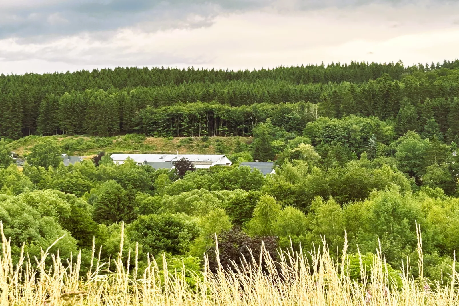 Skjoldenhof-Uitzicht zomer