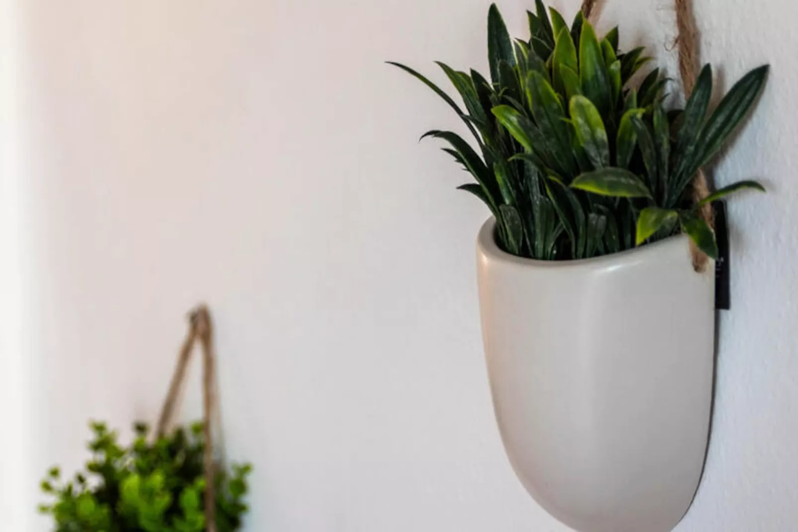 Appartements à Son Parc-Niet-getagd