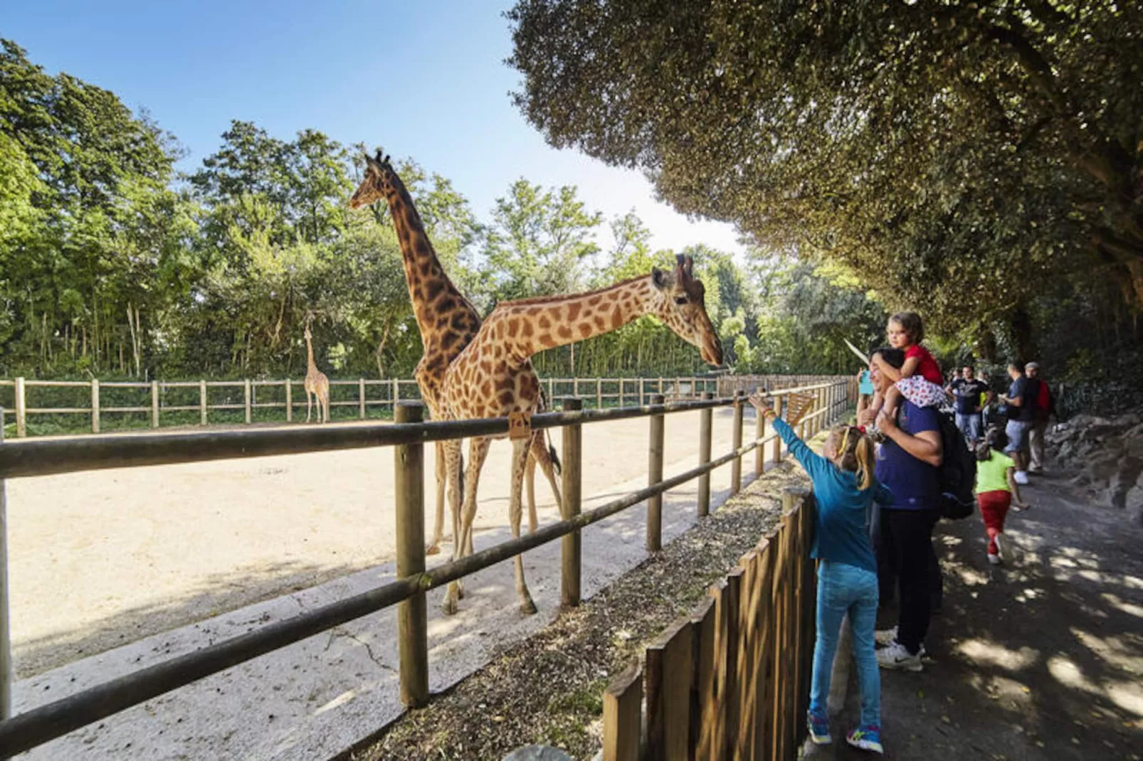 Maison à Les Sables d'Olonne-Niet-getagd