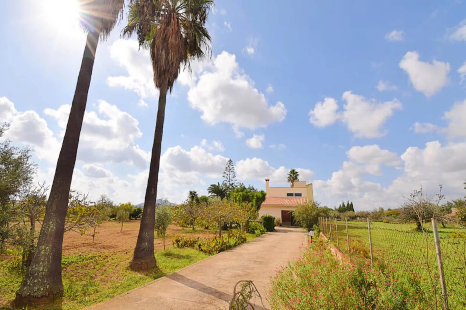 Maison à Campanet-Niet-getagd