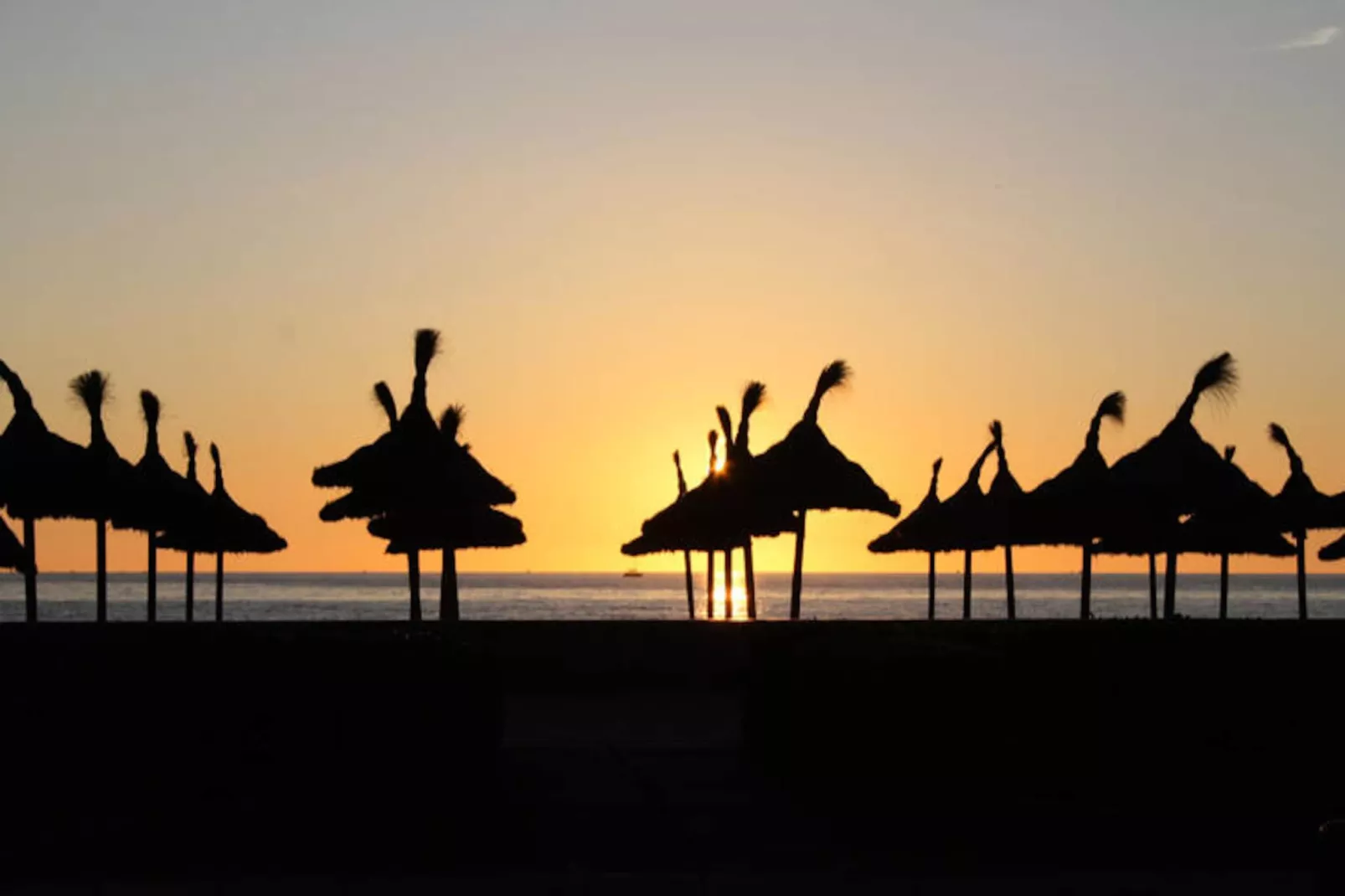 Maison à Alcúdia - Port d'Alcúdia-Niet-getagd