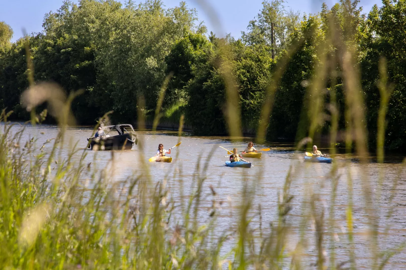 Gisèle-Gebieden zomer 20km