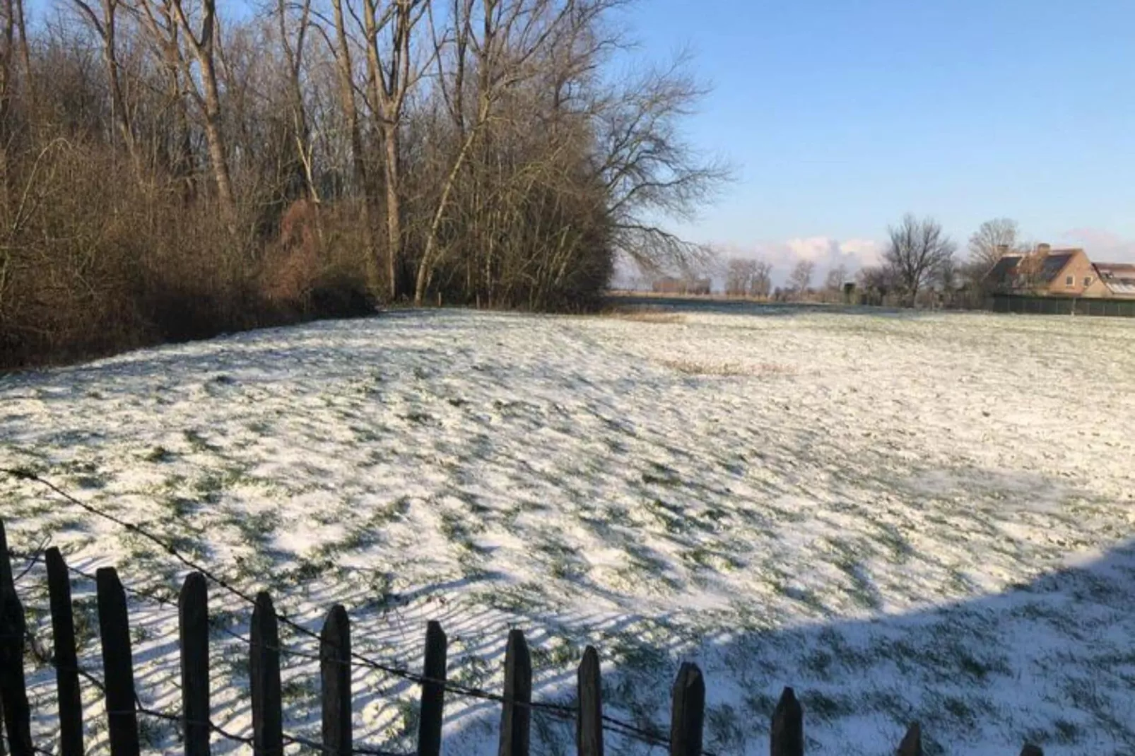 T'Leegland-Tuin winter