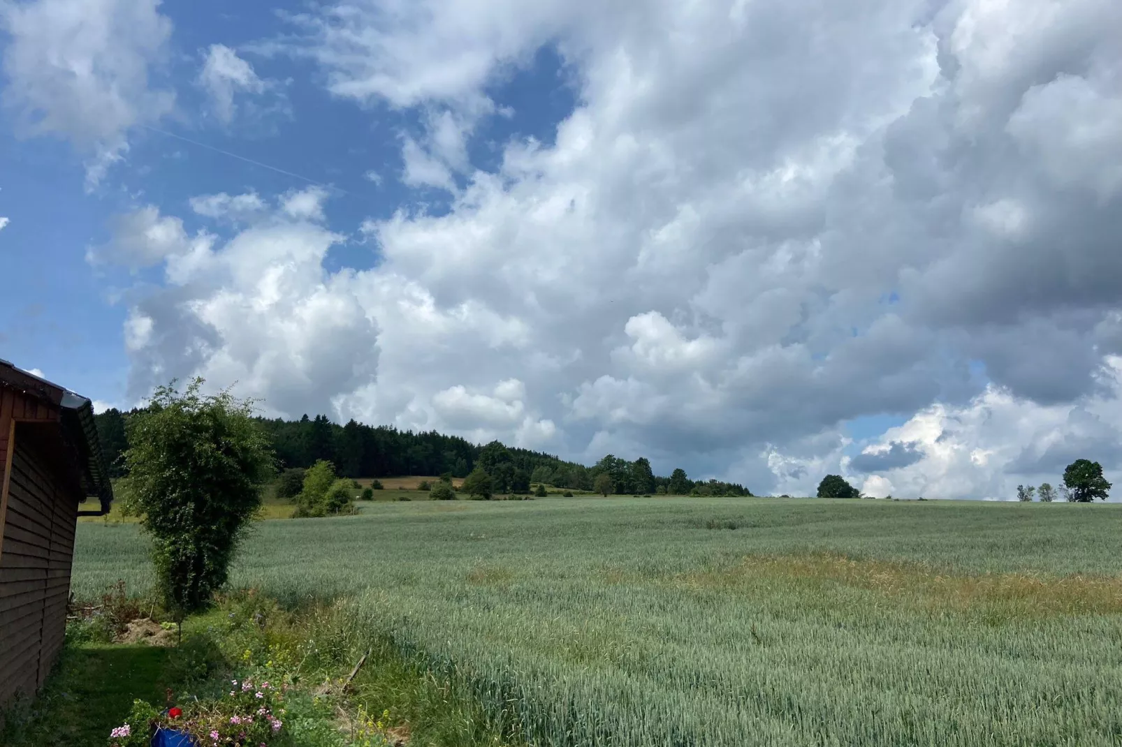 Très belle habitation à Lierneux pour 8 adultes-Uitzicht zomer