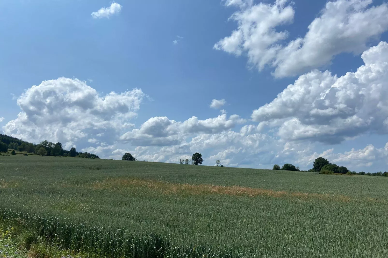 Très belle habitation à Lierneux pour 8 adultes-Gebieden zomer 5km