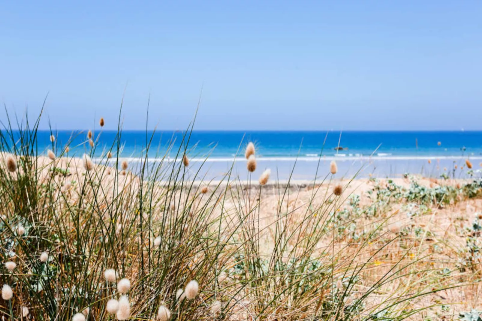 Maison à Saint-Lunaire-Niet-getagd