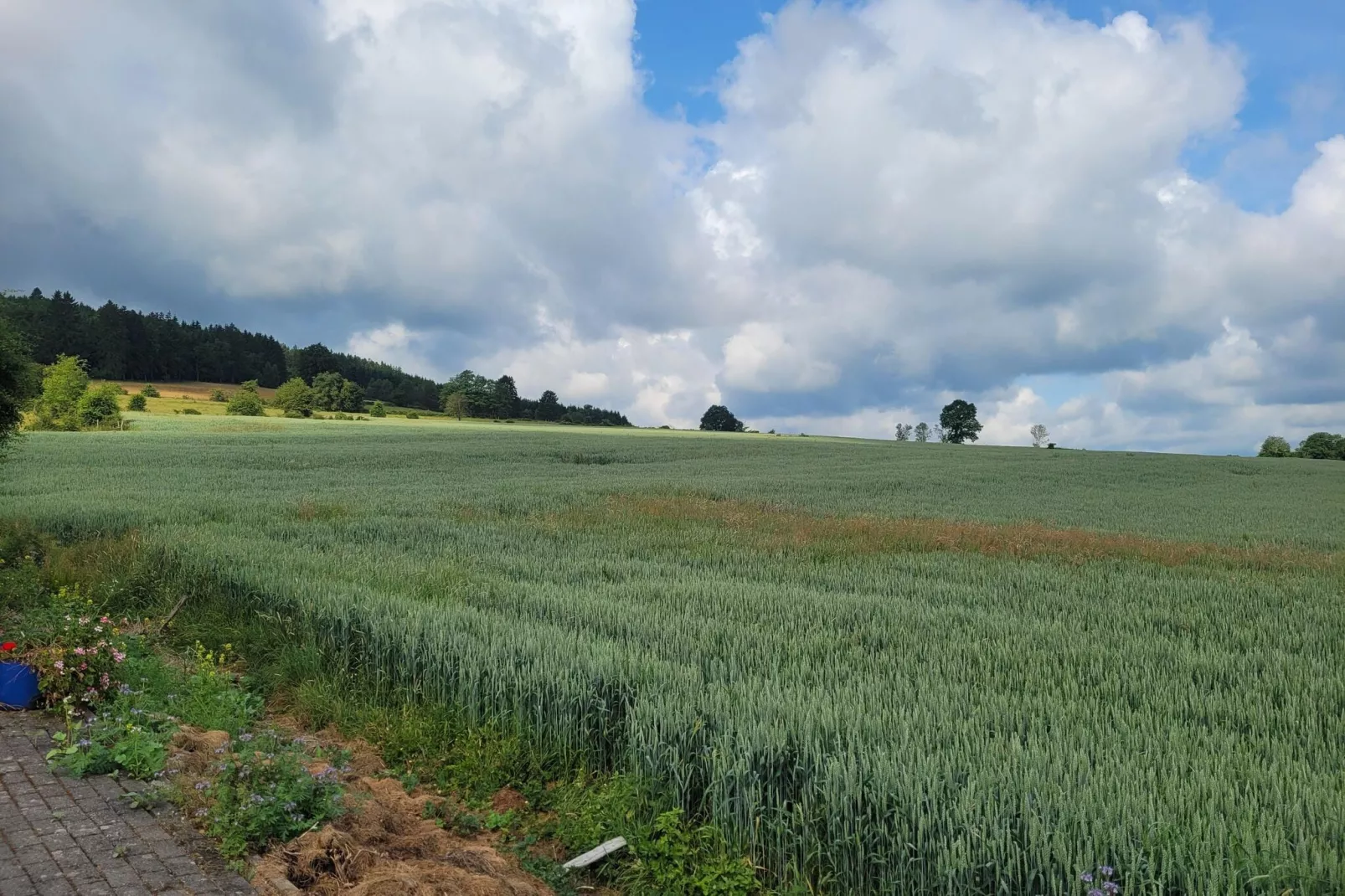 Très belle habitation à Lierneux pour 5 adultes-Gebieden zomer 5km