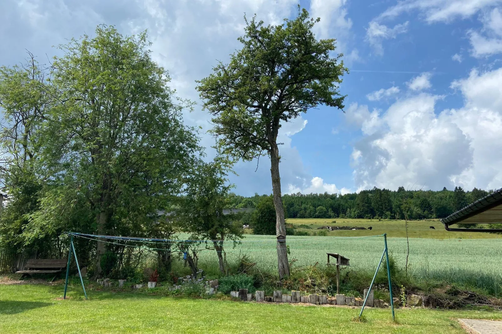 Très belle habitation à Lierneux pour 5 adultes-Tuinen zomer