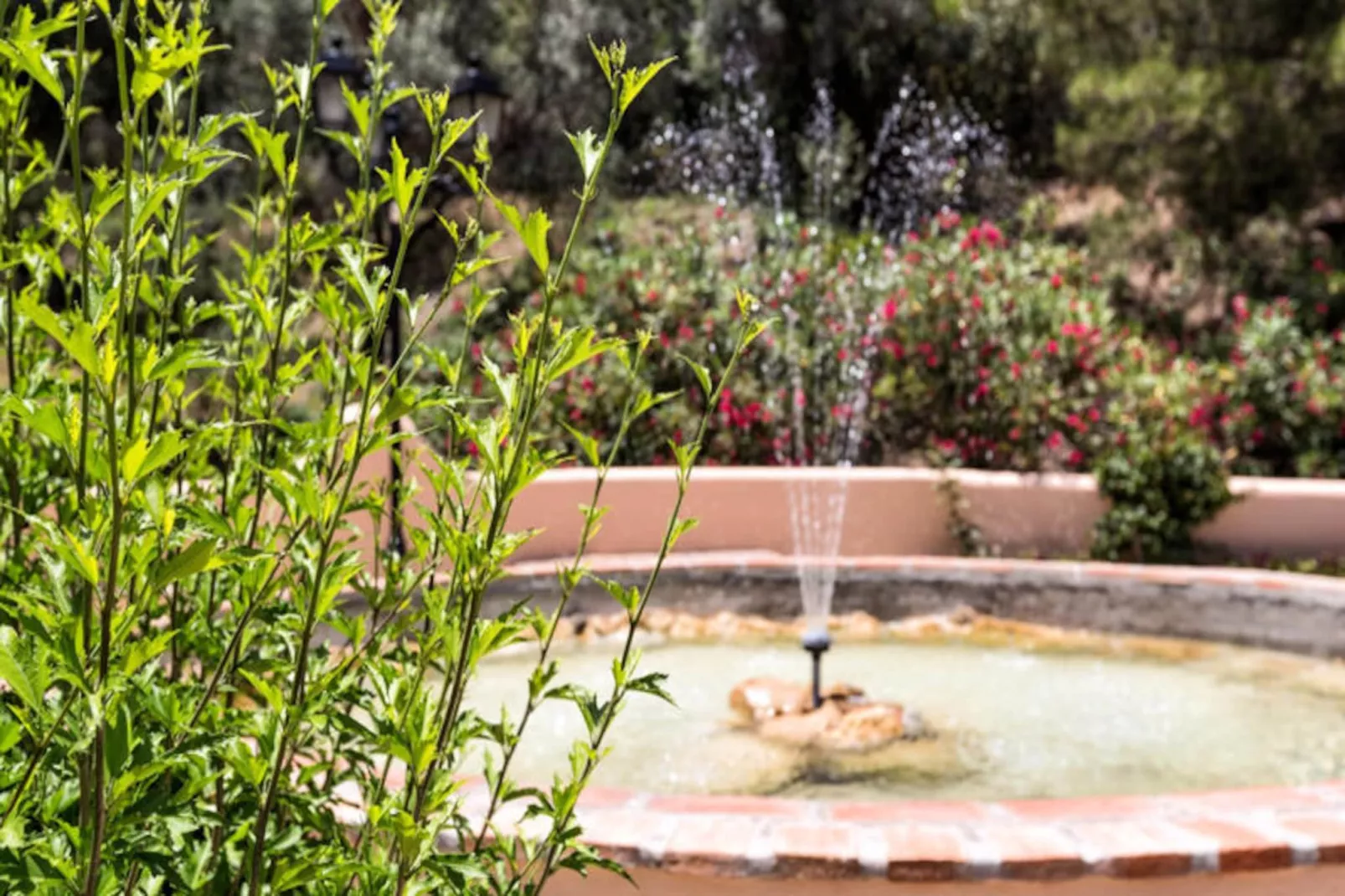 Appartements à Marbella-Niet-getagd