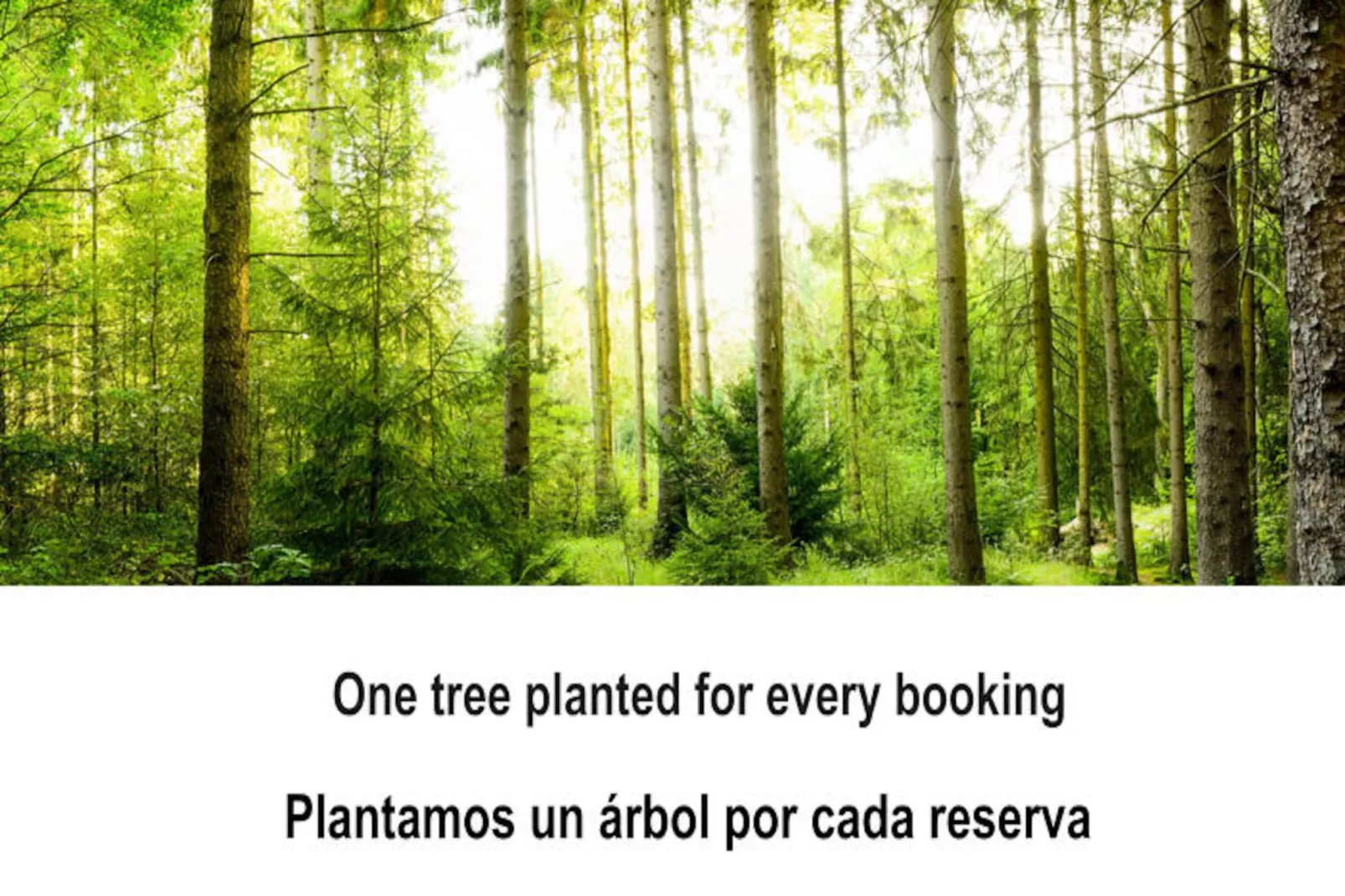 Appartements à Torrevieja-Niet-getagd