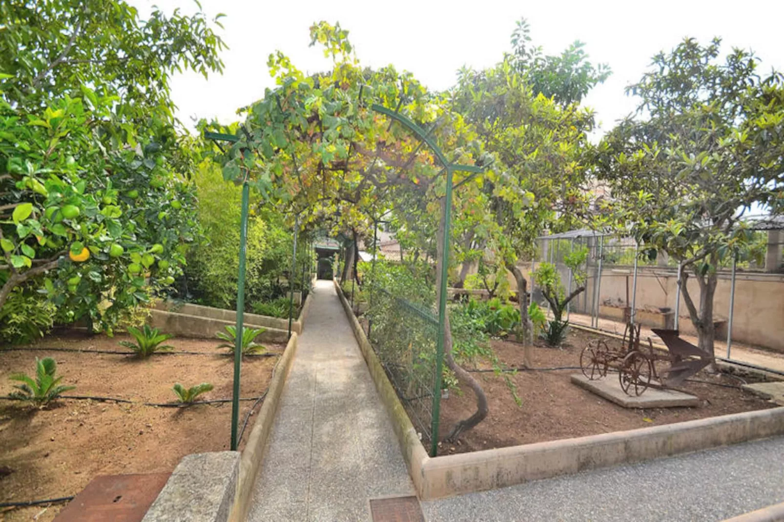 Maison à Muro-Niet-getagd