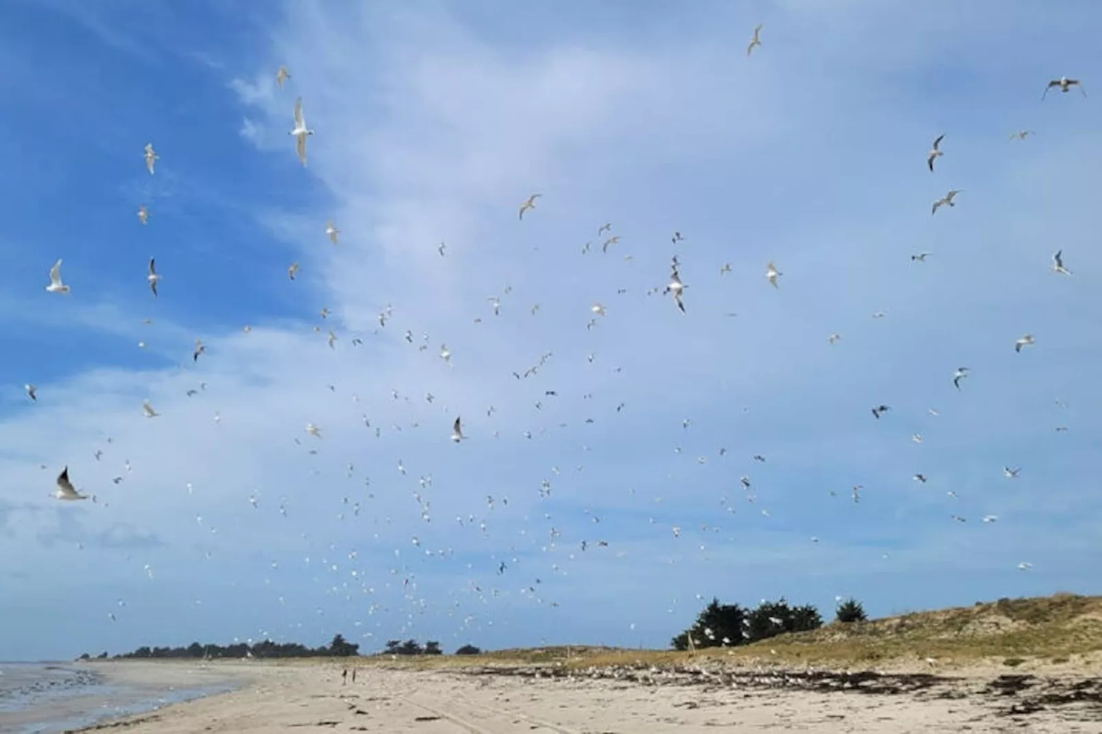 Maison à Le Guilvinec-Niet-getagd