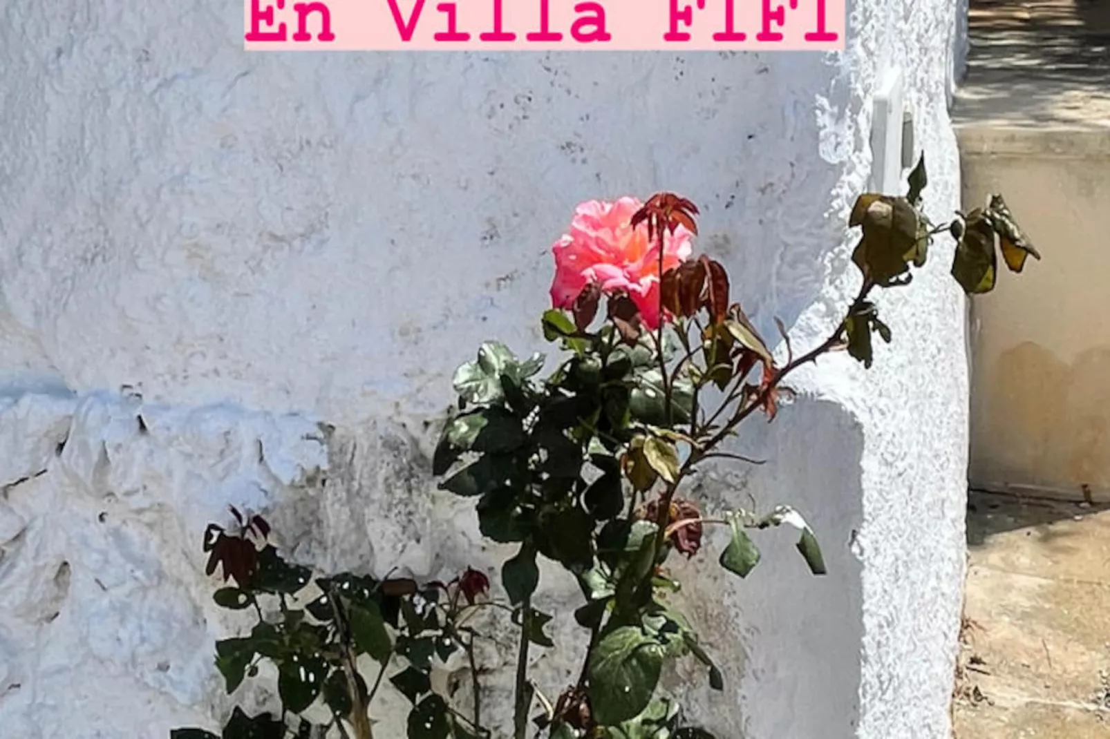 Maison à Cala'n Porter-Niet-getagd