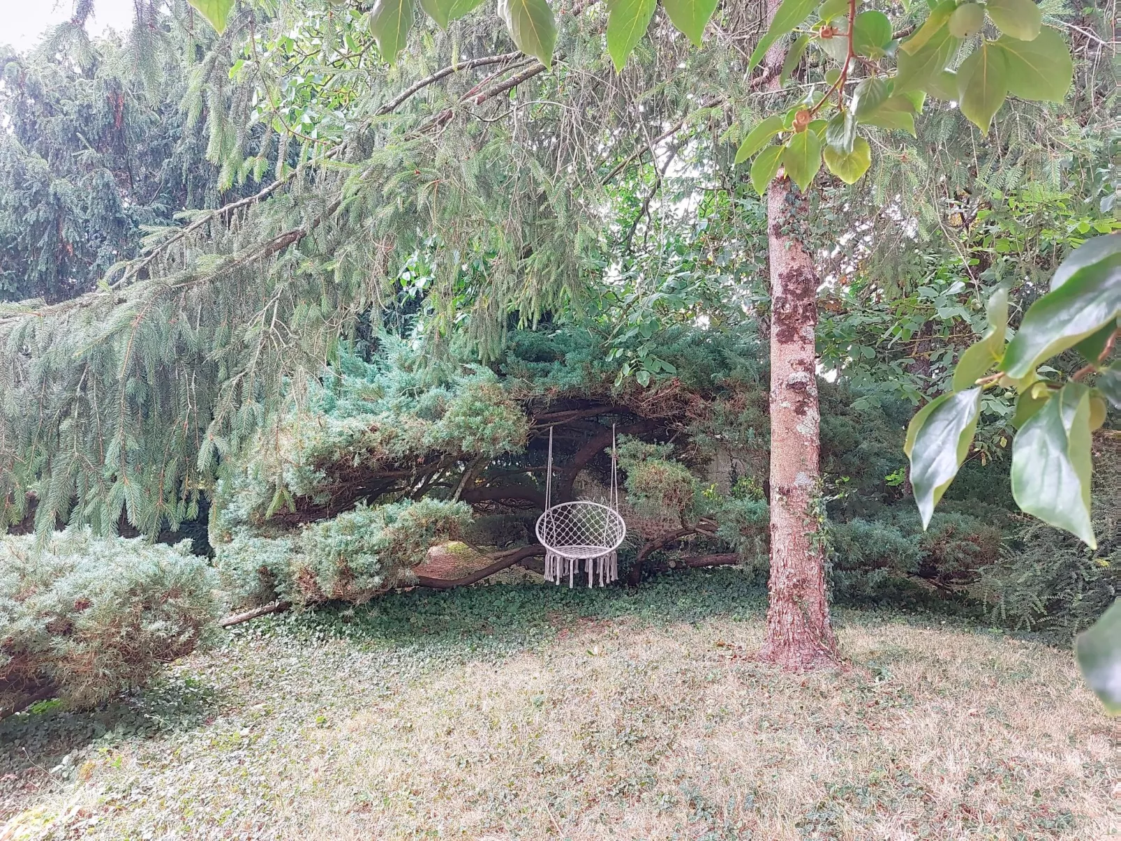 Les Vidalières-Buiten