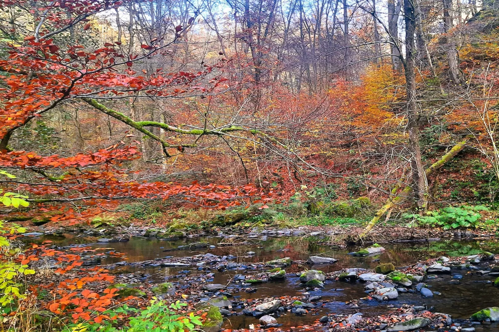 Skjoldenhof-Gebieden zomer 5km