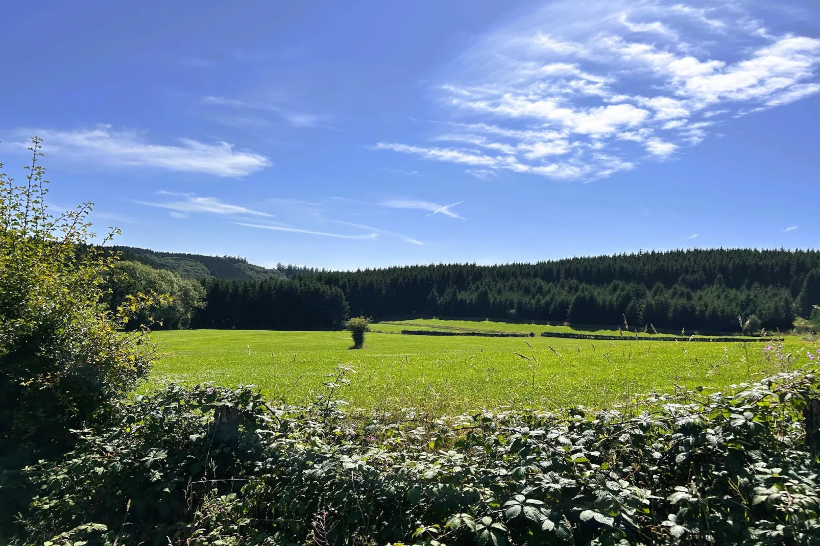 Skjoldenhof-Gebieden zomer 20km
