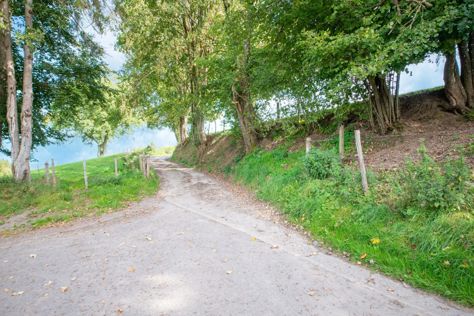 Le Relais Enchanteur-Gebieden zomer 5km