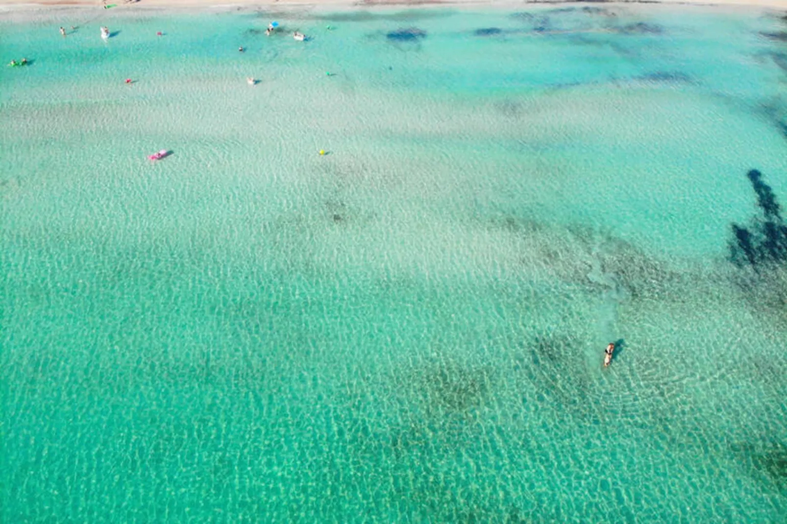 Appartements à Alcúdia - Port d'Alcúdia-Niet-getagd