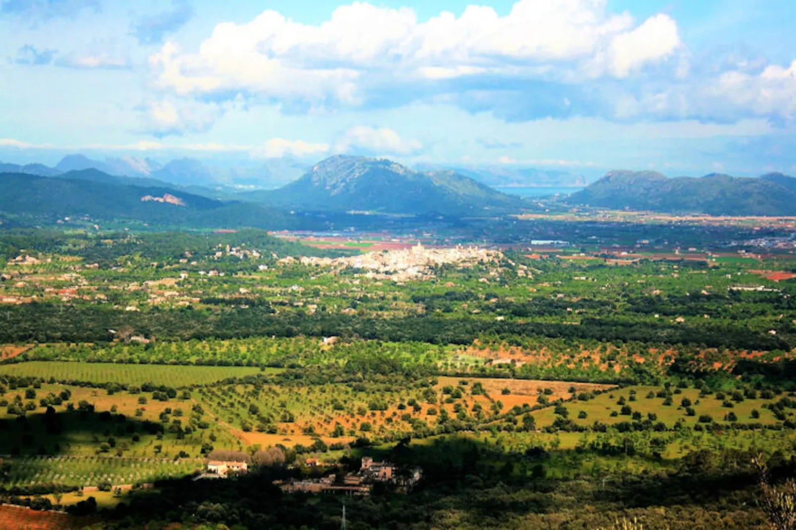 Maison à Búger-Niet-getagd
