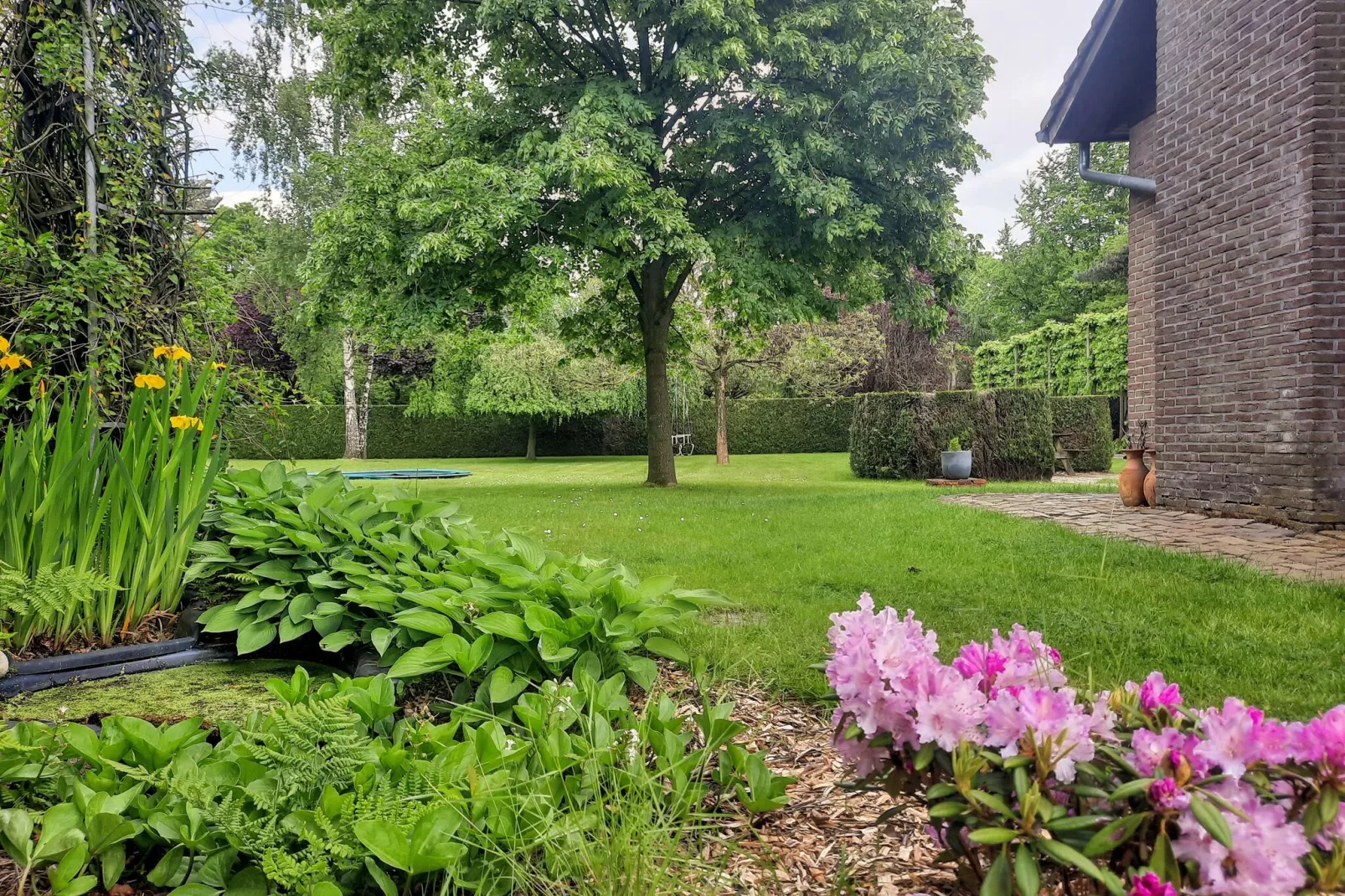 Buiten Huis-Uitzicht zomer