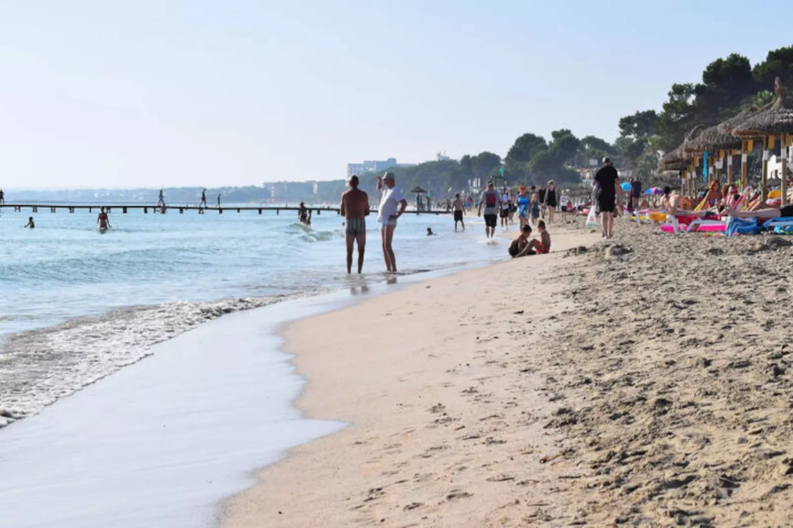 Appartements à Alcúdia - Port d'Alcúdia-Niet-getagd