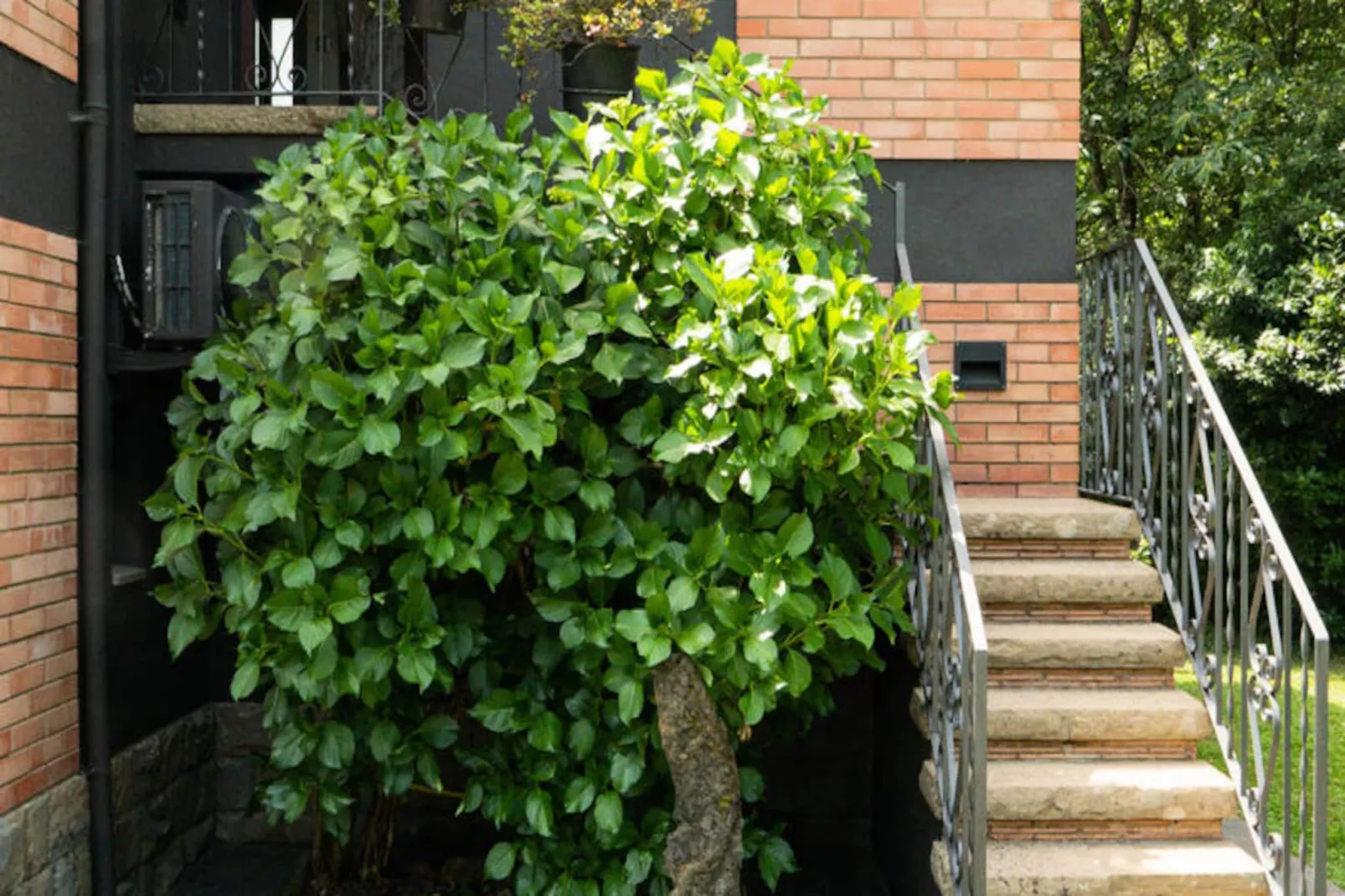 Mobil Home - Bungalow - Cottage à Santa Pau-Niet-getagd