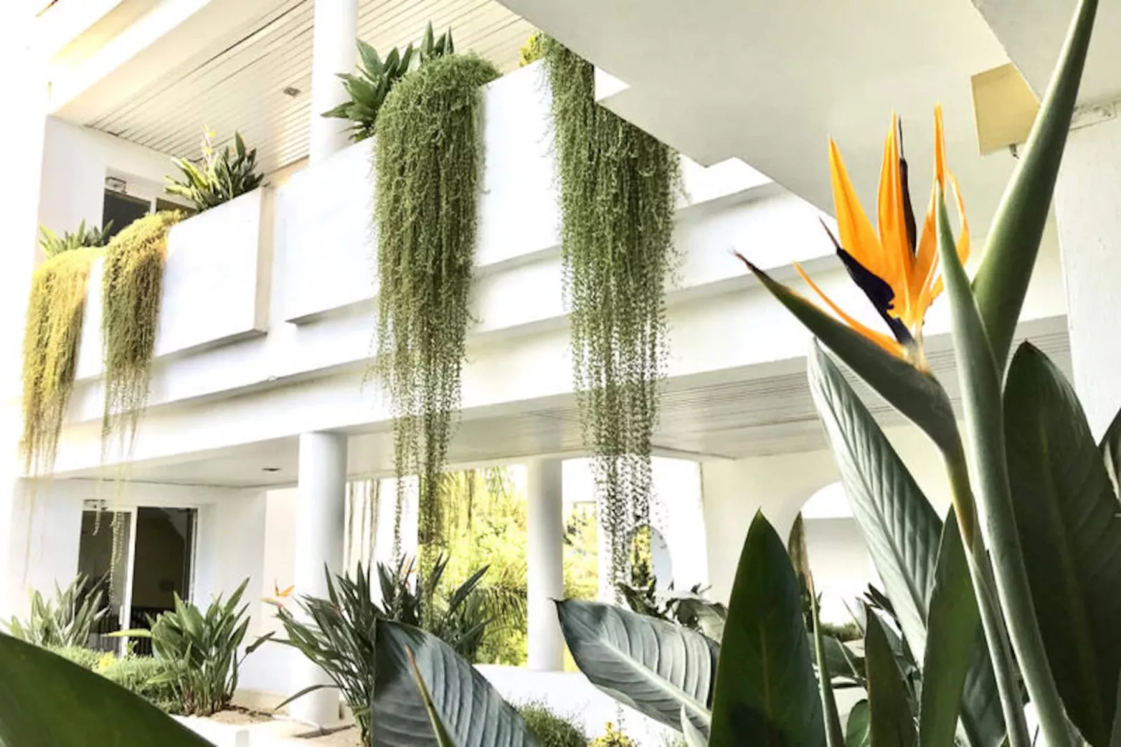 Appartements à Marbella-Niet-getagd