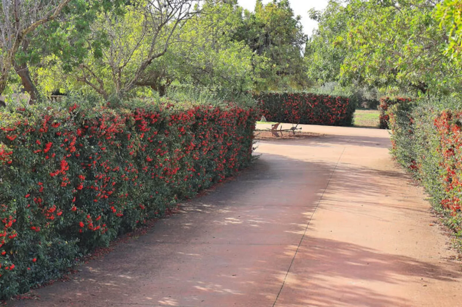 Maison à Binissalem-Niet-getagd