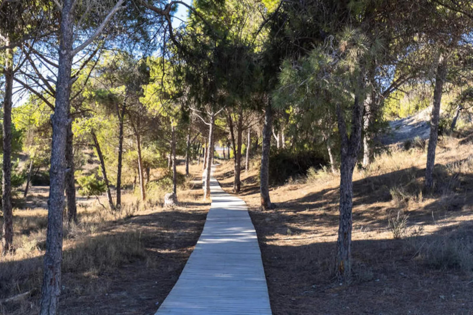 Mobil Home - Bungalow - Cottage à Guardamar del Segura-Niet-getagd