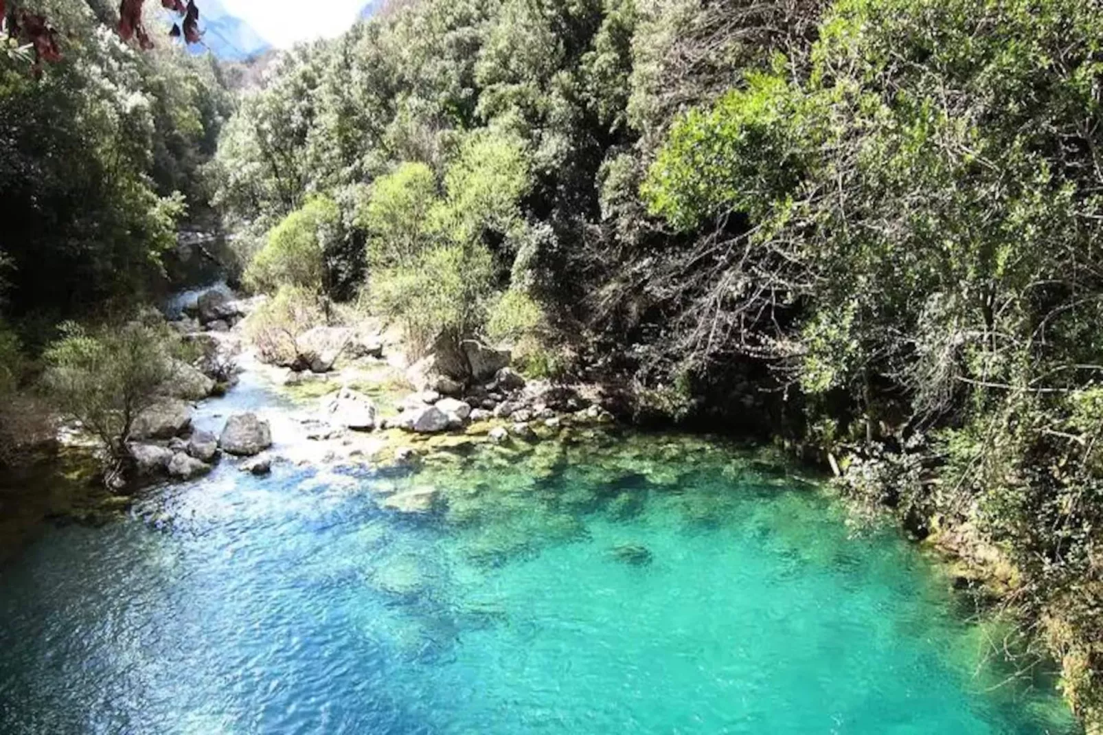 Appartements à Montagut i Oix-Niet-getagd