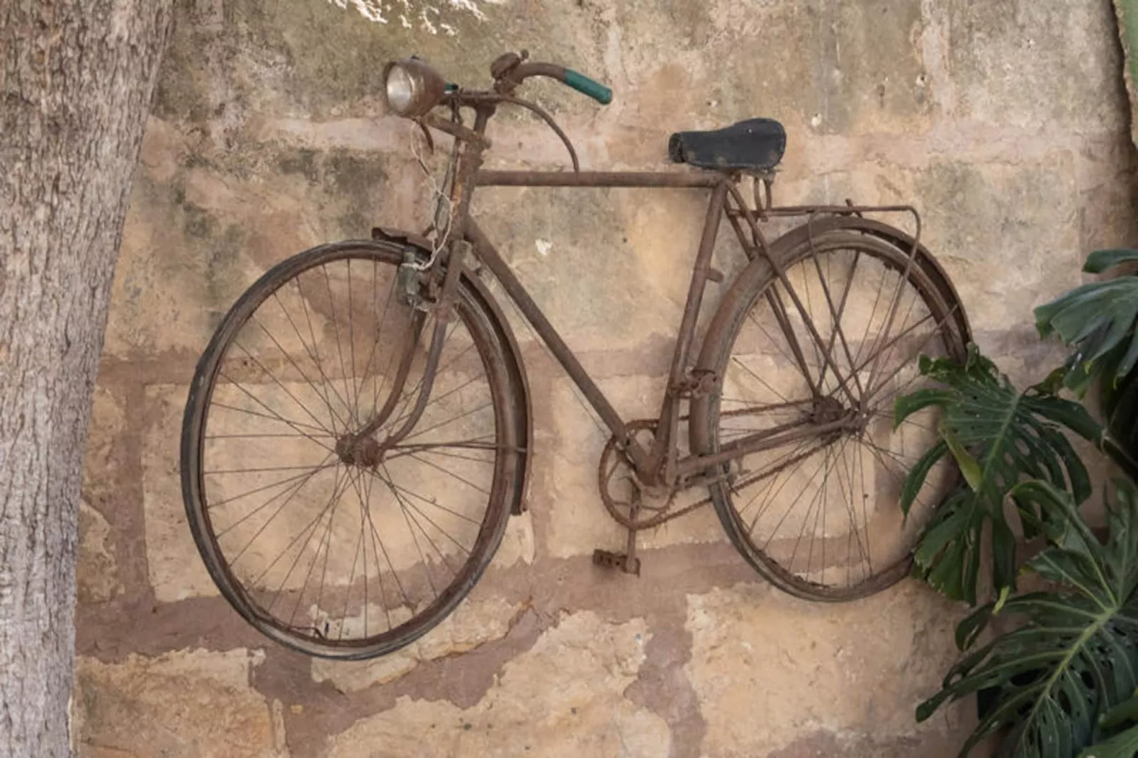 Maison à Muro-Niet-getagd