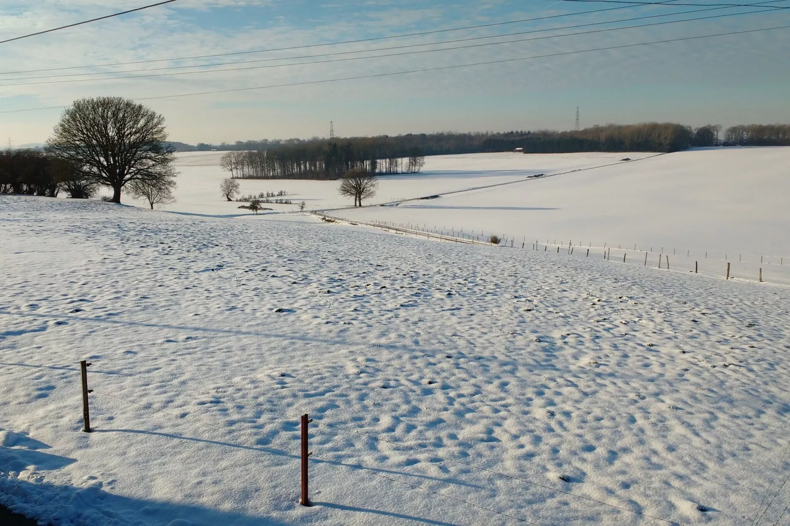 Ramelot gite carpe diem-Tuin winter