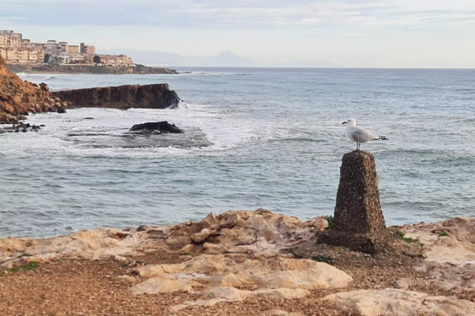 Maison à Torrevieja-Niet-getagd