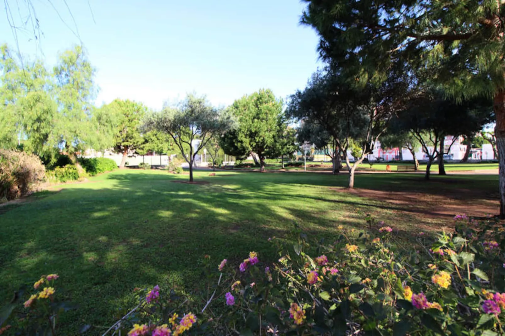 Appartements à Canet d'En Berenguer-Niet-getagd