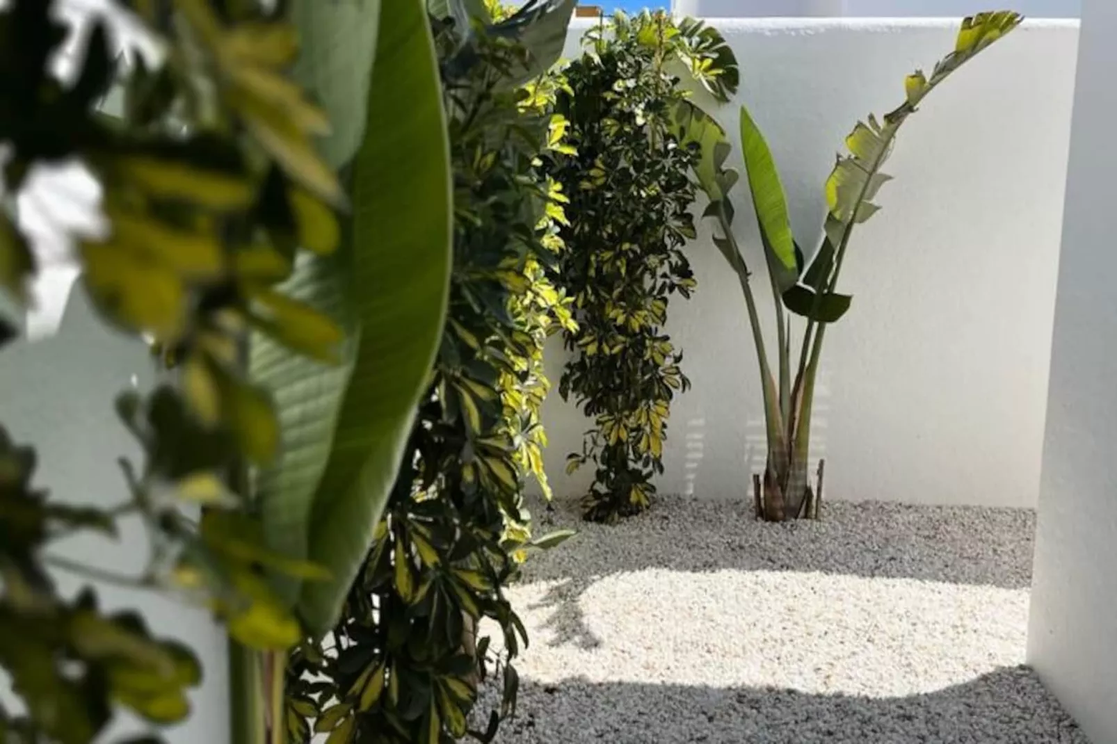 Villa Avec Piscine Priv&eacute;e  &agrave; San Fulgencio-Niet-getagd