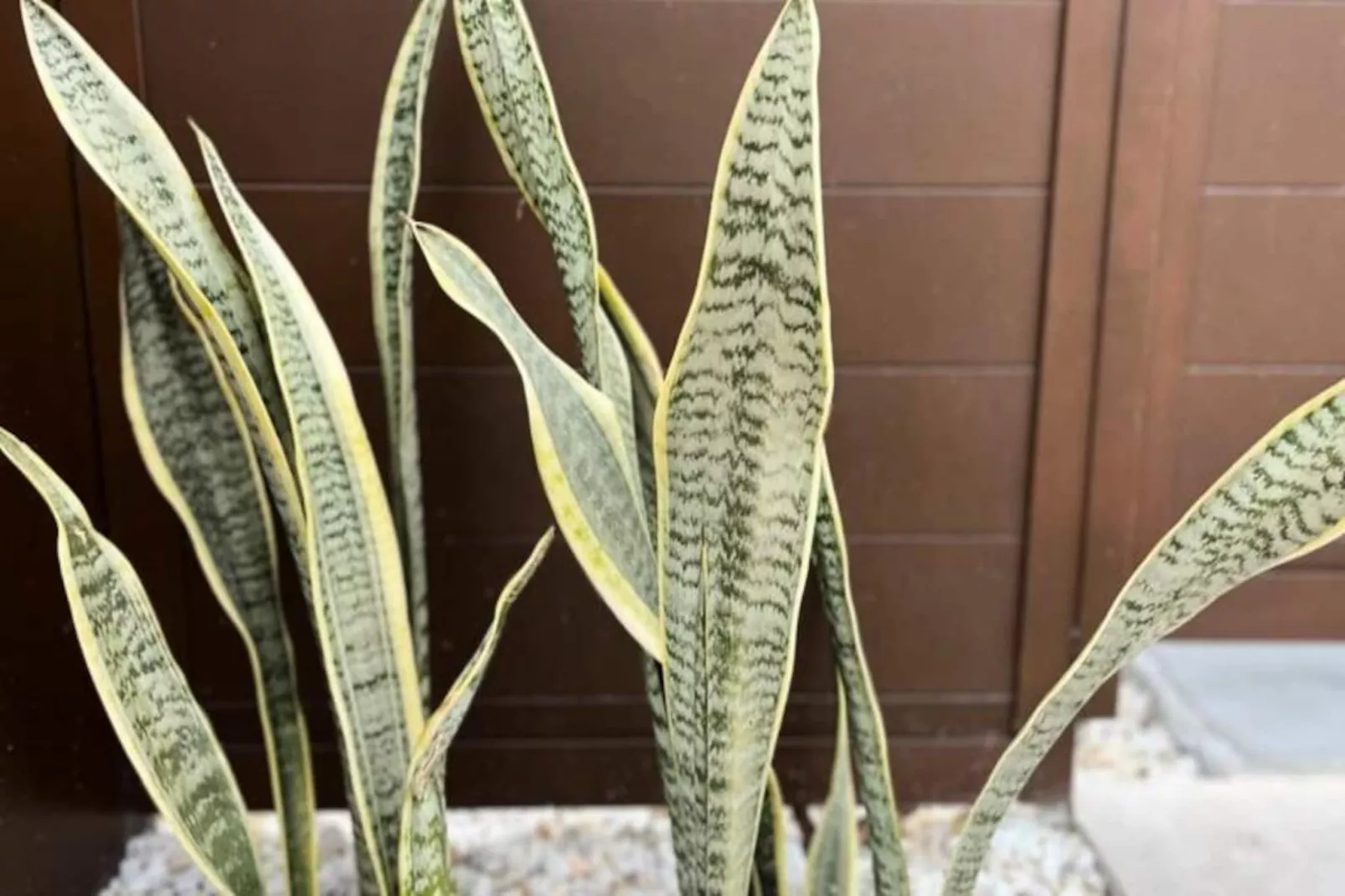 Villa Avec Piscine Priv&eacute;e  &agrave; San Fulgencio-Niet-getagd