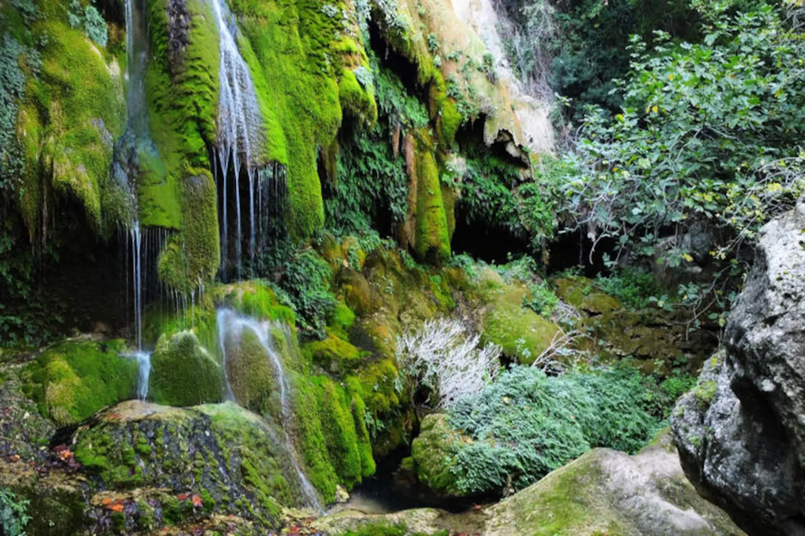 Mobil Home - Bungalow - Cottage à Boadella i les Escaules-Niet-getagd