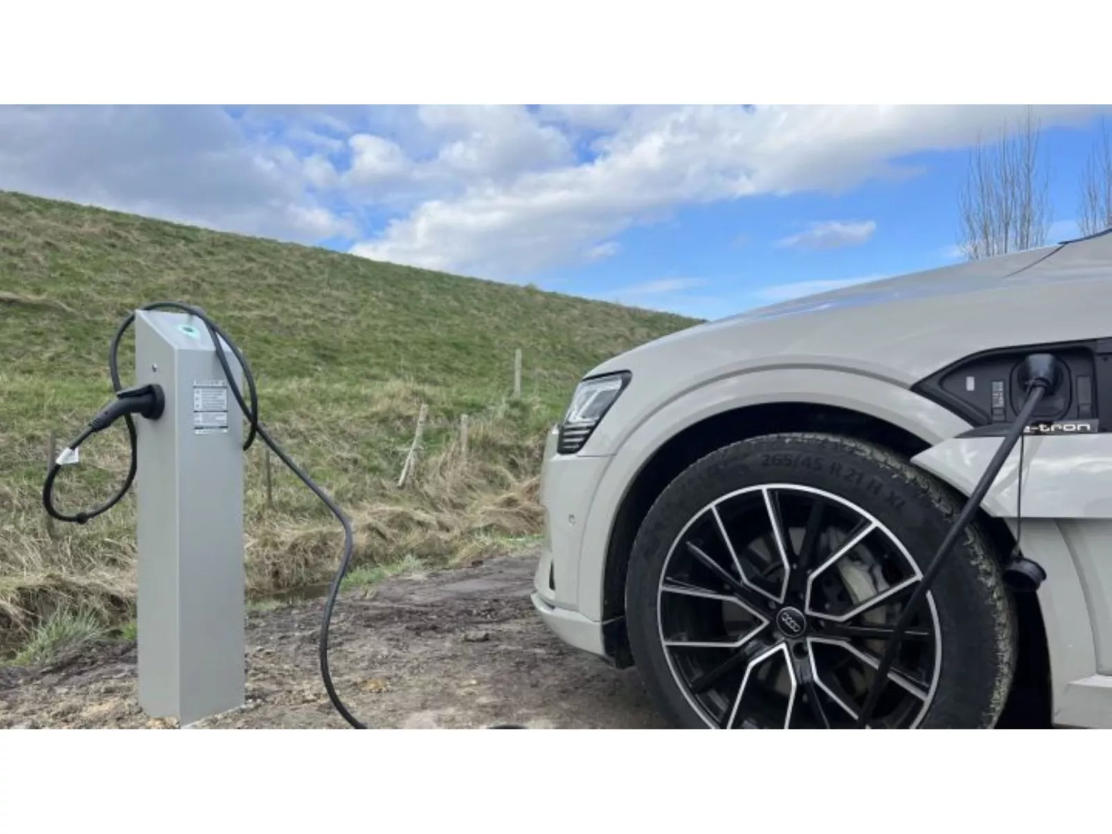 De Parel-Image-tags.info